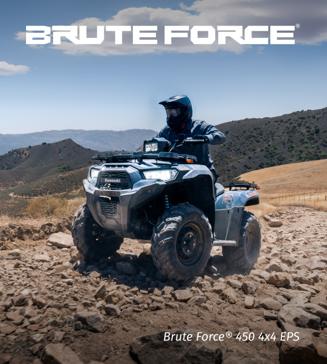 Brute Force FAMILY:  SMALL IMAGE