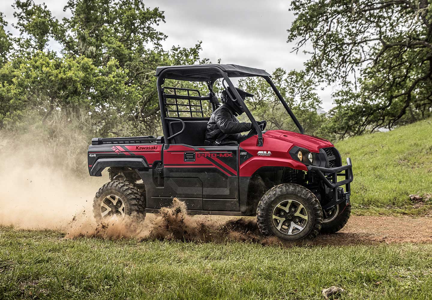 KAWASAKI MULE: MULE 4000